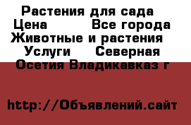 Растения для сада › Цена ­ 200 - Все города Животные и растения » Услуги   . Северная Осетия,Владикавказ г.